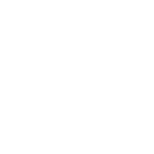 Logo Team Fames White